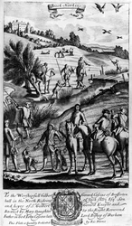 Brook valkenjacht, uit 